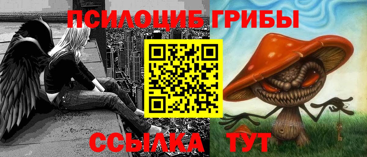 Галлюциногенные грибы Cubensis Грязи