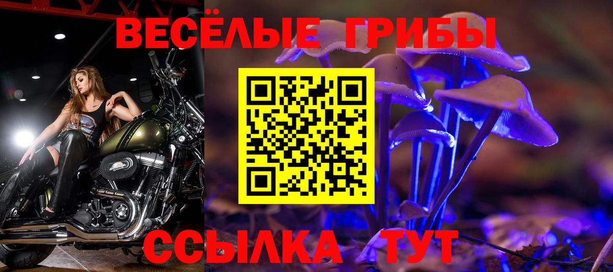 Галлюциногенные грибы ЛСД  Вход с VPN  Грязи 